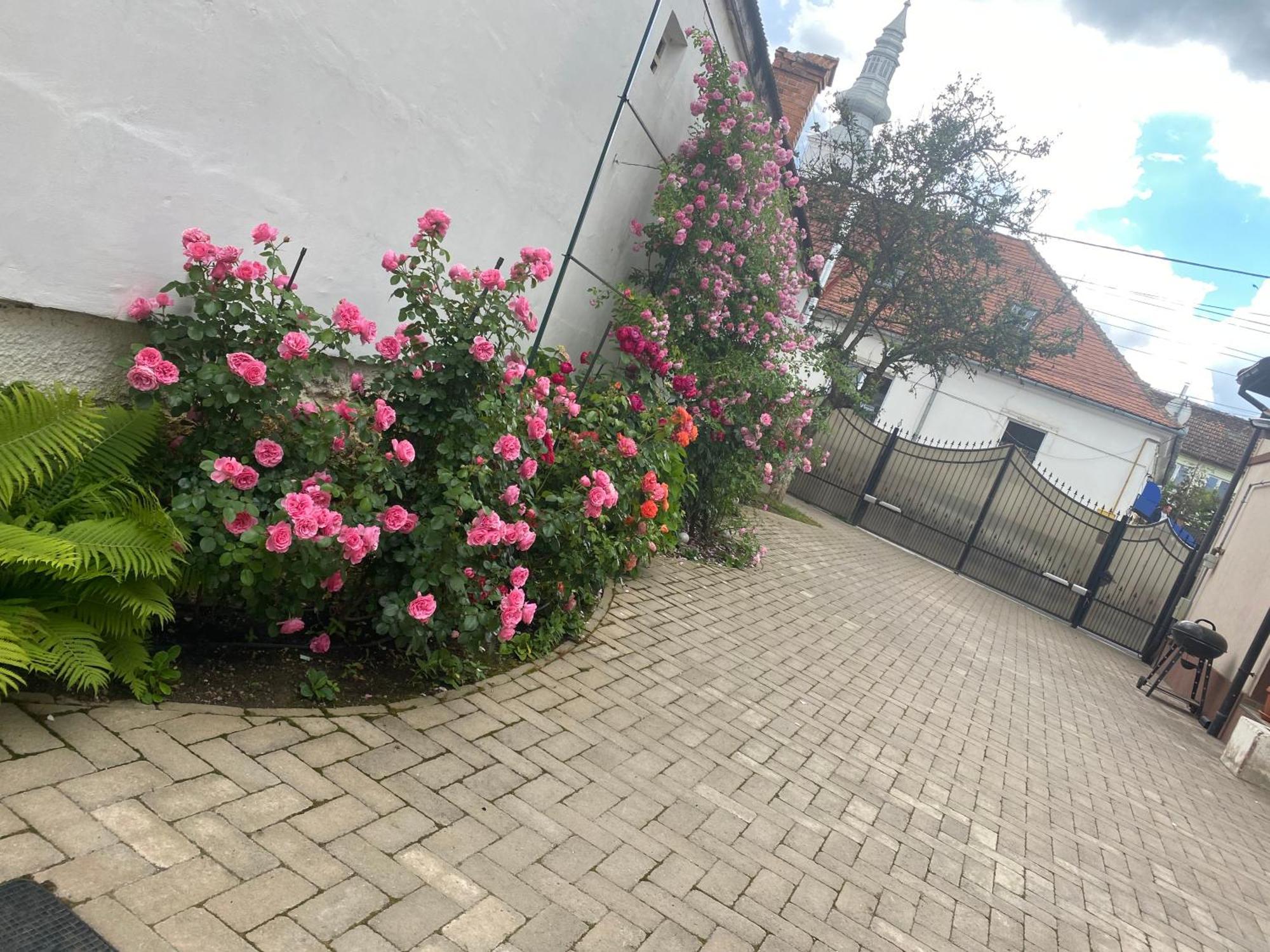 Budux Delux Vila Săcele Exterior foto